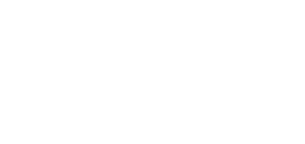 DMC